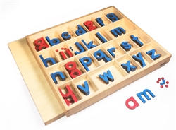 Lowercase Small Movable Alphabets Blue with Red Vowels- Print (Premium Quality) Questions & Answers