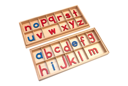 Montessori Materials Large Movable Alphabet Questions & Answers