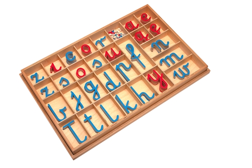 Montessori Materials: Large Movable Alphabets: Polish (Premium Quality) Questions & Answers