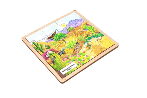 Montessori Materials: Subtropical Desert Biome Puzzle Questions & Answers