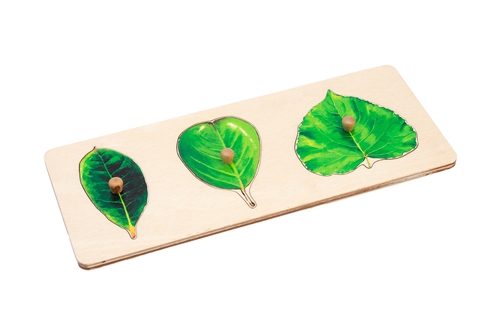 Montessori Materials: Three Leaves Puzzle Questions & Answers