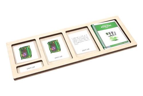 Montessori Materials: Extended Three-Part Card Tray Questions & Answers