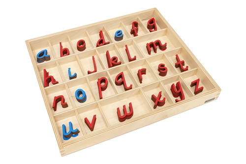 Montessori Materials: Small Movable Alphabets: D’Nealian (Premium Quality) Questions & Answers