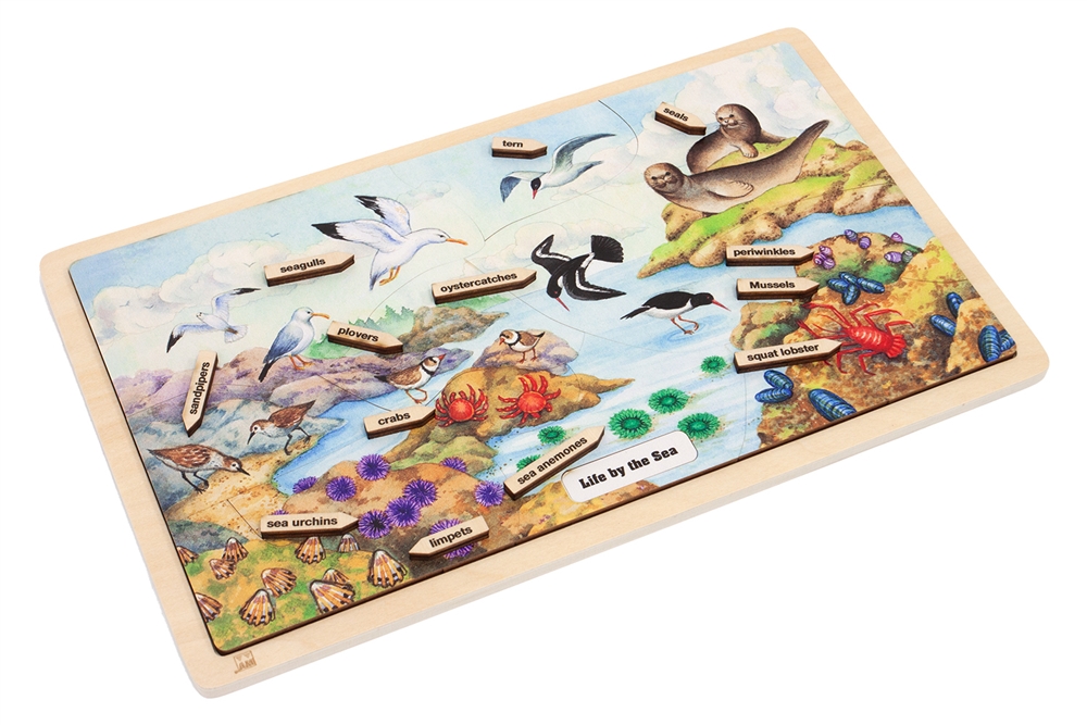 Montessori Materials: Life by the Sea Puzzle Questions & Answers